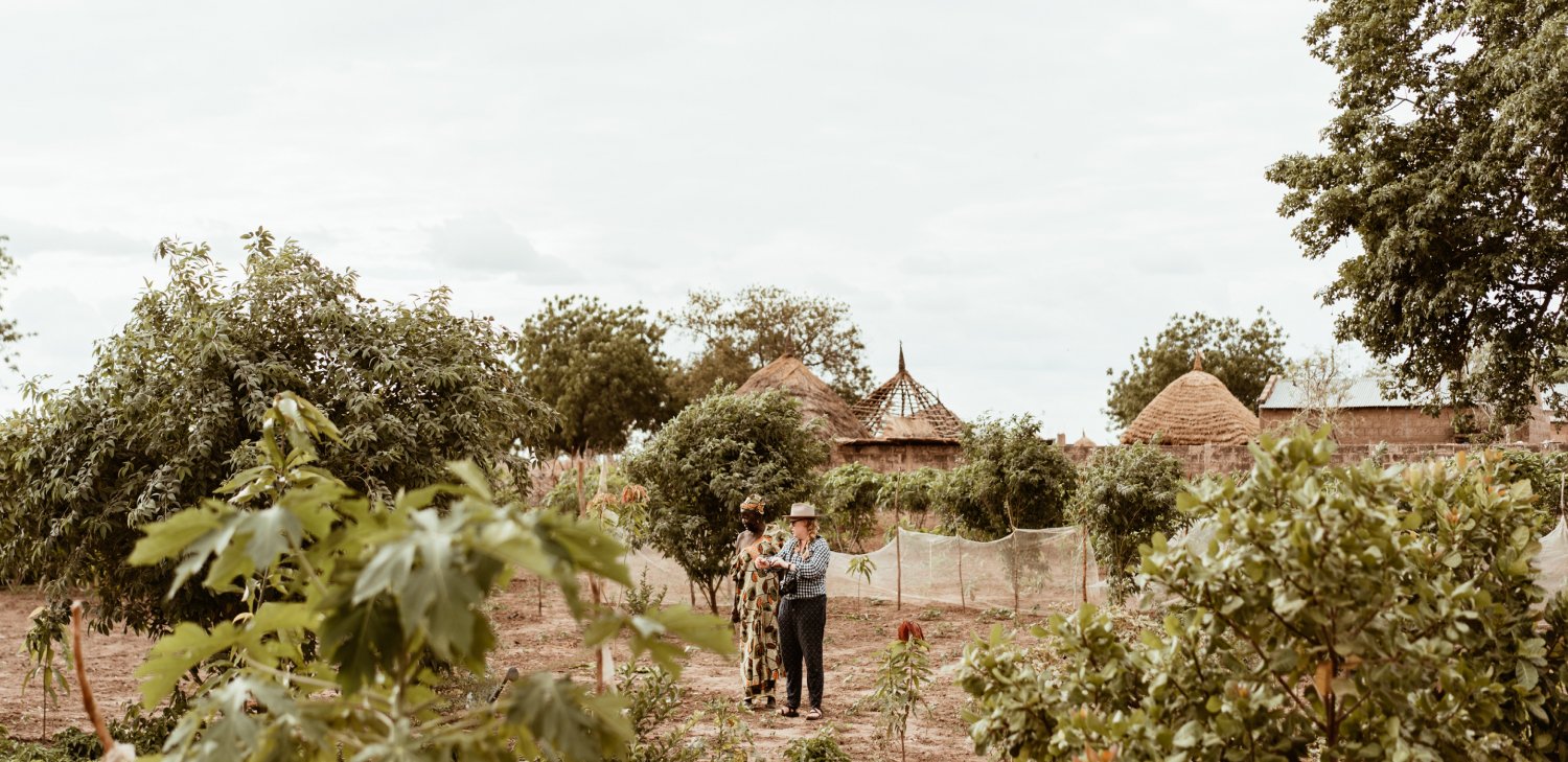 Why Trees? For The Future